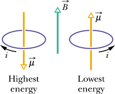 MagneticField_183.gif